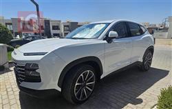 جيتور داشينج